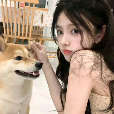 追婚记