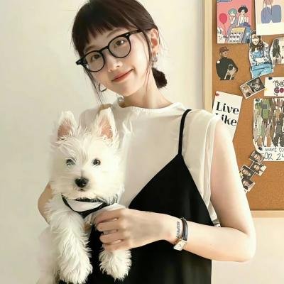 野良与皇女与流浪猫之心